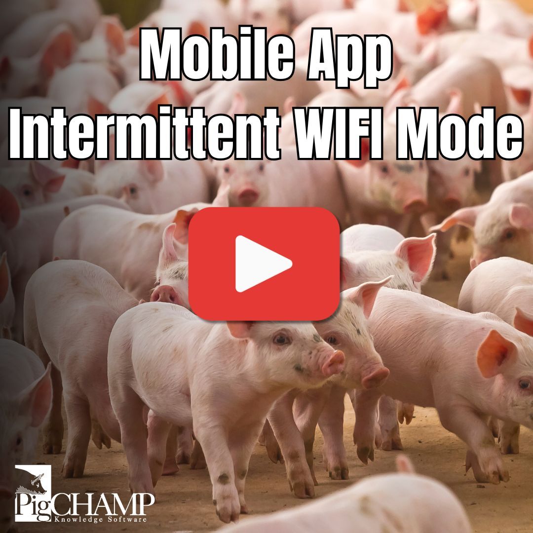 Check out our videos!

Intermittent Mode, allows you to record data to your device, then sync your records when connectivity is available with the #PigCHAMP Online program or through your own network using our Client Hosted Application.

Watch here: youtube.com/watch?v=4X1Kf1…