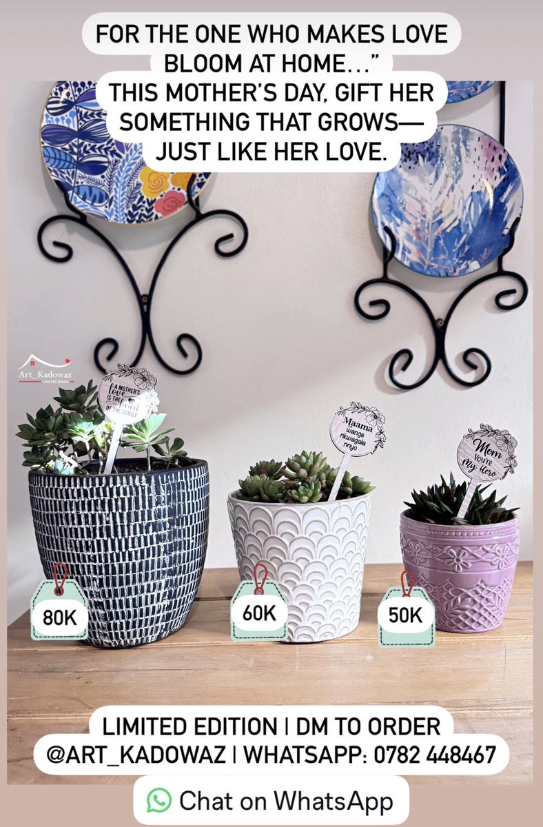 This Mother’s Day, say it with something that lives on.

Available in English + Local Languages
Limited pieces—DM to reserve yours now!

Chat with us: wa.me/256782448467
Follow us: @art_kadowaz

#MothersDayUg #ArtKadowaz #PersonalizedGiftsUG #CelebrateMama #SucculentLove