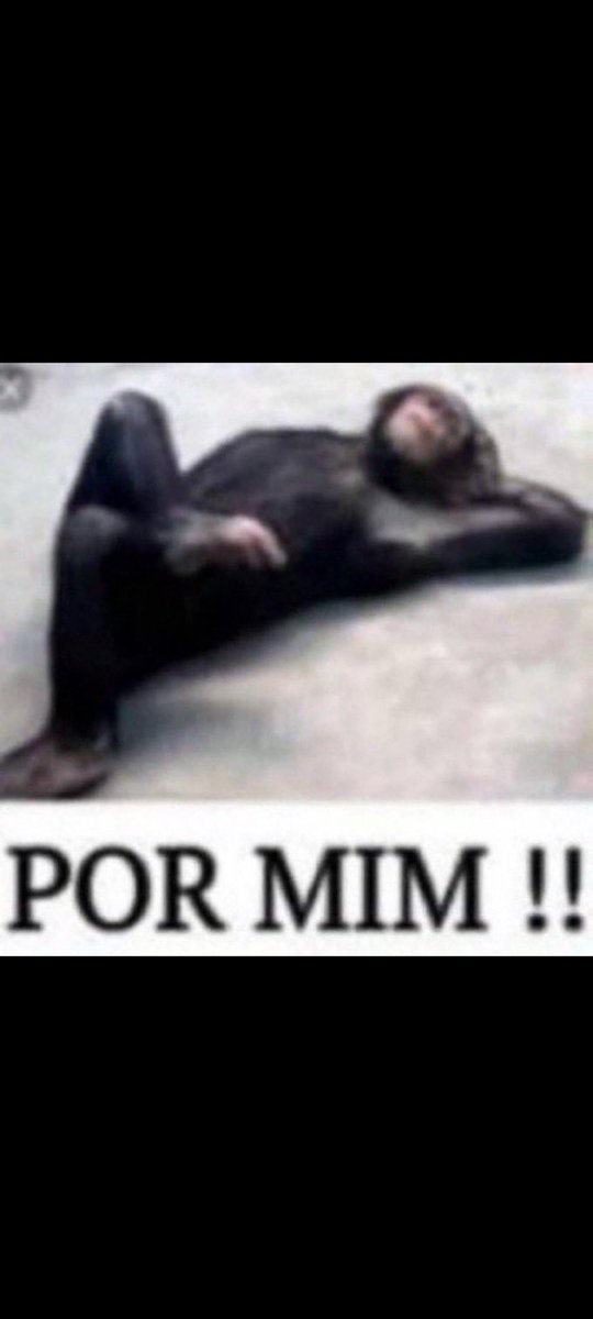 giovanna13909u's tweet image. As três são INSUPORTÁVEIS a Liz era a menos chatinha, mais agrr até ela tá ficando nojenta. Nessa história estou do lado da treta