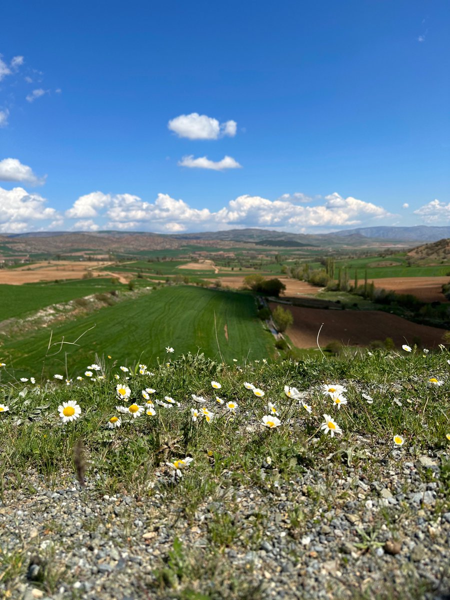 “Hiçbir kış sonsuza dek sürmez, hiçbir bahar da sırasını atlamaz”
Hal Borland