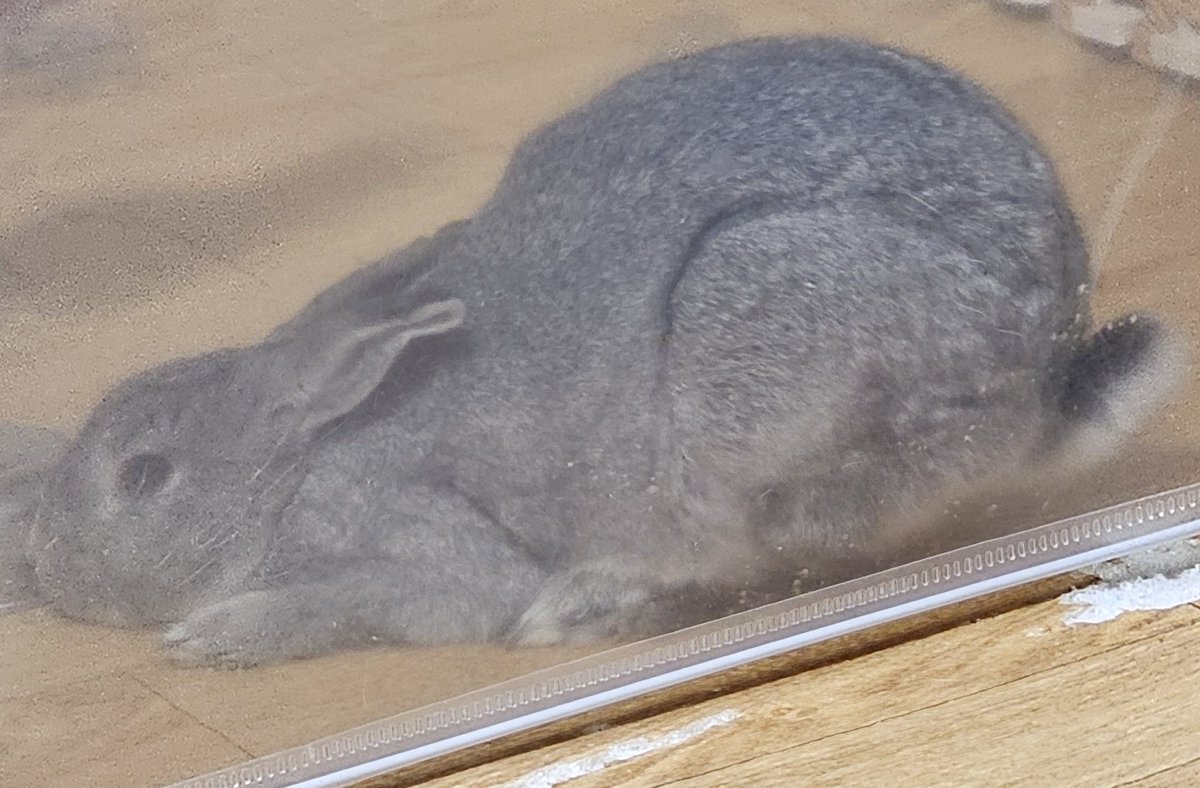 먼지 궁댕이가 이상해요 이게맞?나