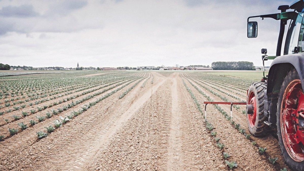 Voorjaarsdroogte teistert Vlaanderen: 'Dit zien we normaal maar om de 20 à 50 jaar' tijd.be/dossiers/dataj…