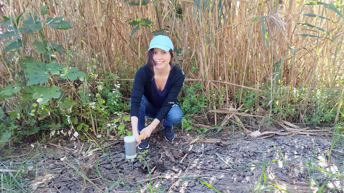 🙌Iniciamos una nueva edición de #CatAguasOpina con el artículo de 👩‍🎓Julie Echeverría, quien investiga soluciones #innovadoras ante el desafío global de los #microplásticos. os ¿Pueden ser los #HumedalesArtificiales la solución?
🔵La respuesta aquí: 
✍️ tinyurl.com/4t6emt2r