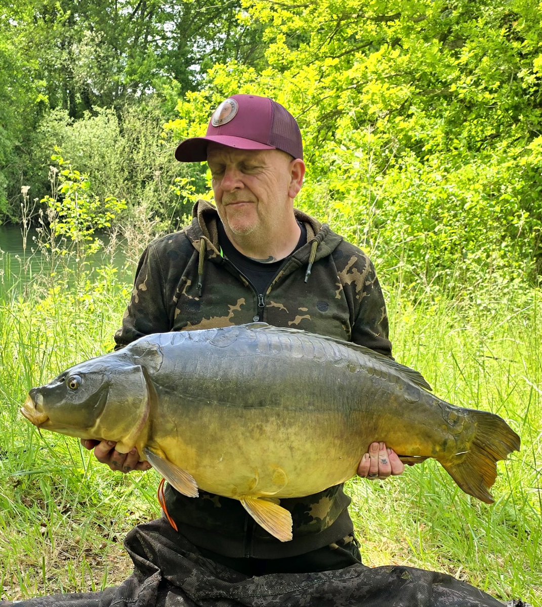 DeanoBacherro's tweet photo. Stalked this 35lb 12oz mirror carp out of a snaggy little bay today. Forgotten flavours S-mix wafter doing the biz. #forgottenflavours #hookbaits #carpfishing #frenchcarpfishing https://t.co/GeAm0a19X3