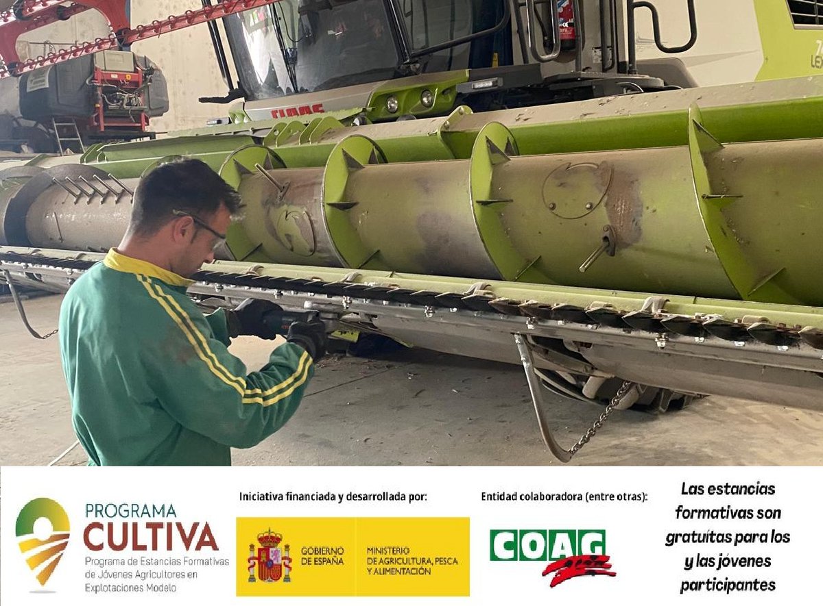 🚜🚜Seguimos en la explotación de Jesús Revilla con Ricardo como alumno en la estancia formativa 79.2 del #ProgramaCultiva en #AutilladelPino en #Palencia.    #AgriculturaSostenible  #lavanda🪻🪻 
➕ℹ️:
▶️acortar.link/k6lrwZ
▶️acortar.link/SZP4P0
@mapagob
<a href="/CoagCyl/">COAG CyL</a>