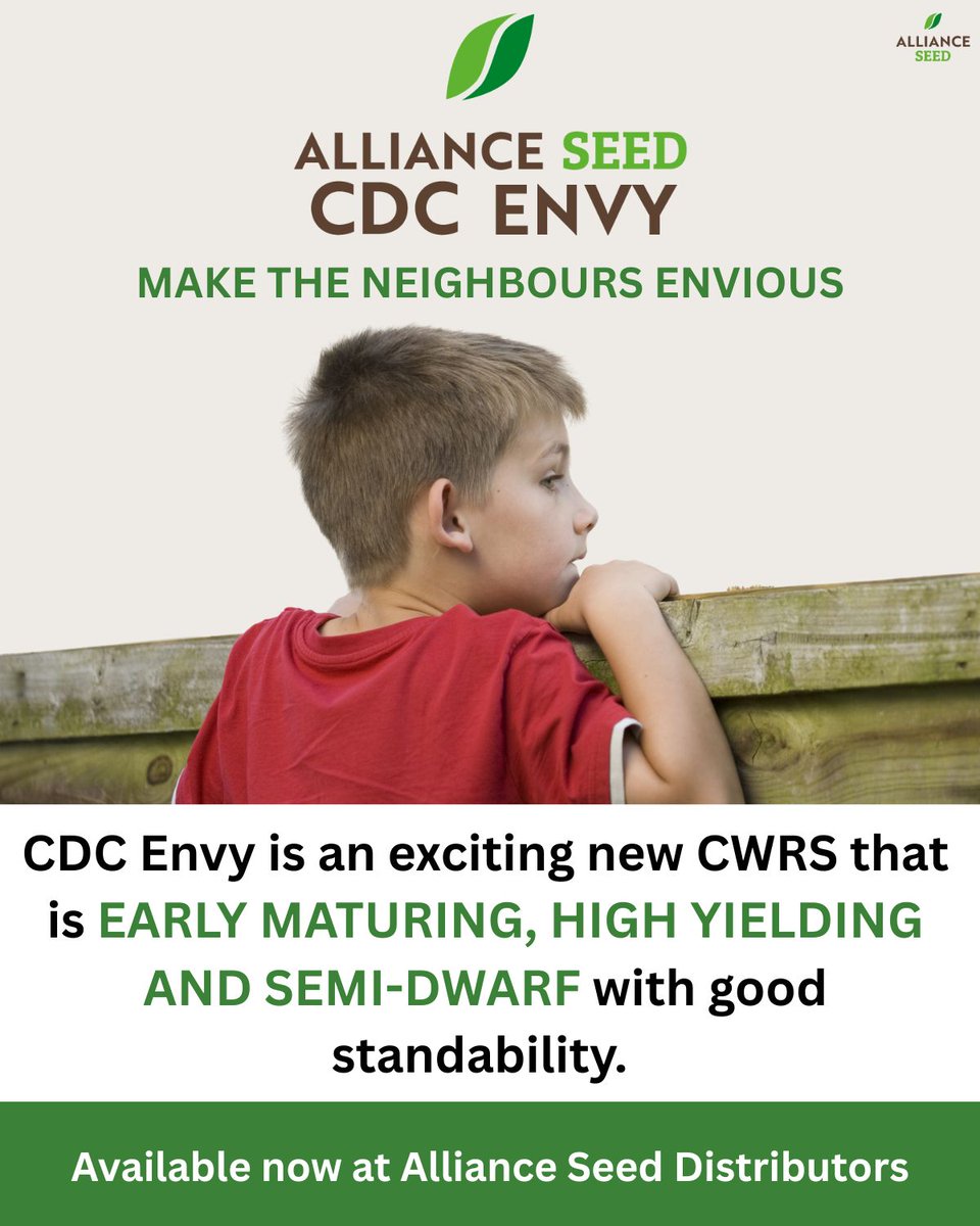 Searching for your farm's next top CWRS variety?  

Discover CDC Envy! 🌾  

Retail Locator:  
allianceseed.com/where-to-buy/