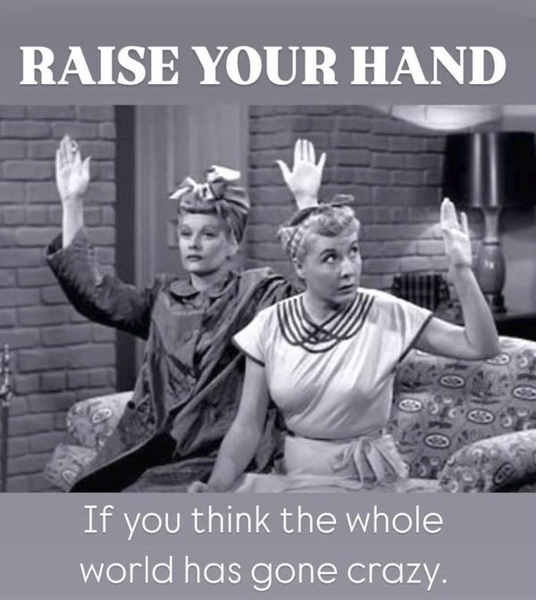 woofknight's tweet image. 