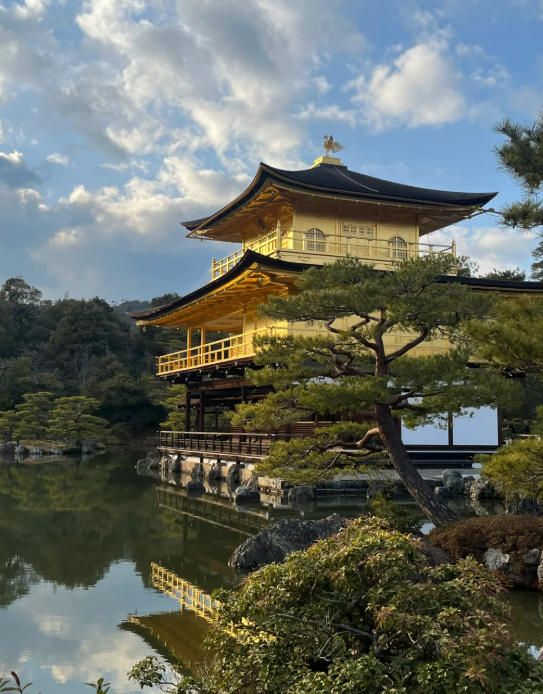 siinoob's tweet photo. 有名な仏教��院は、金箔で覆われた二重頂部で有名です。静かな池のほとりにあり、手入れの行き届いた日本庭園に囲まれた美しい景観です。 https://t.co/GmgeTSwTHH