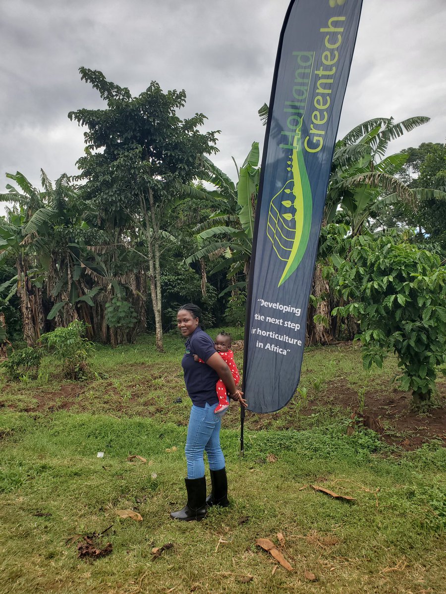 Together with my little one we are  developing the next step in Agriculture, deep down in Luuka district preaching the Agriculture gospel.
<a href="/HgtUganda/">Holland Greentech Uganda</a> <a href="/MAAIF_Uganda/">MAAIF 🇺🇬</a> <a href="/Africanwomeni10/">African Women in Agriculture Network- (AWiAN)</a> <a href="/NARO_MUZARDI/">NARO_MUZARDI</a> <a href="/narouganda/">NARO Uganda</a> <a href="/nbstv/">NBS Television</a> <a href="/newvisionwire/">The New Vision</a> <a href="/emmanattabi/">Barbara Nattabi</a> <a href="/SandraNabasirye/">Slay Farmer😍</a> <a href="/zealous_farmer/">Zealous Farmer🍅🫑🍆🥦🚜</a>