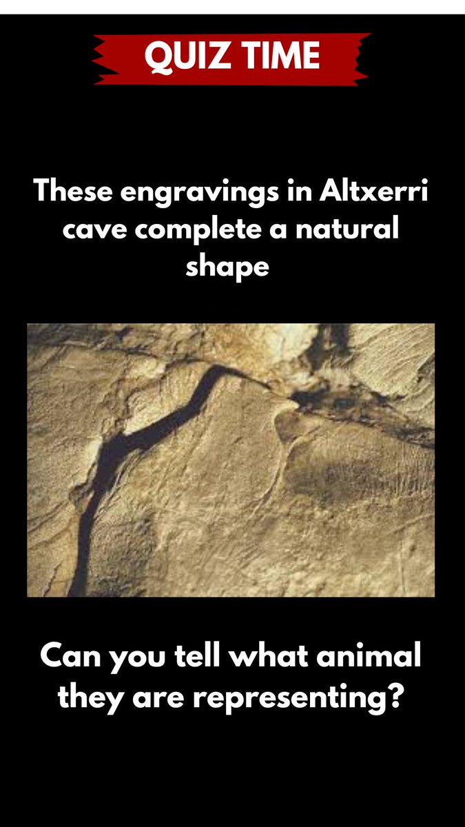 Hello everyone!!!

We are back with a new #QuizPaleoArt

Today we visit Altxerri cave (Guipuzkoa) to discover a unique engraving.

Do you know the correct answer ?