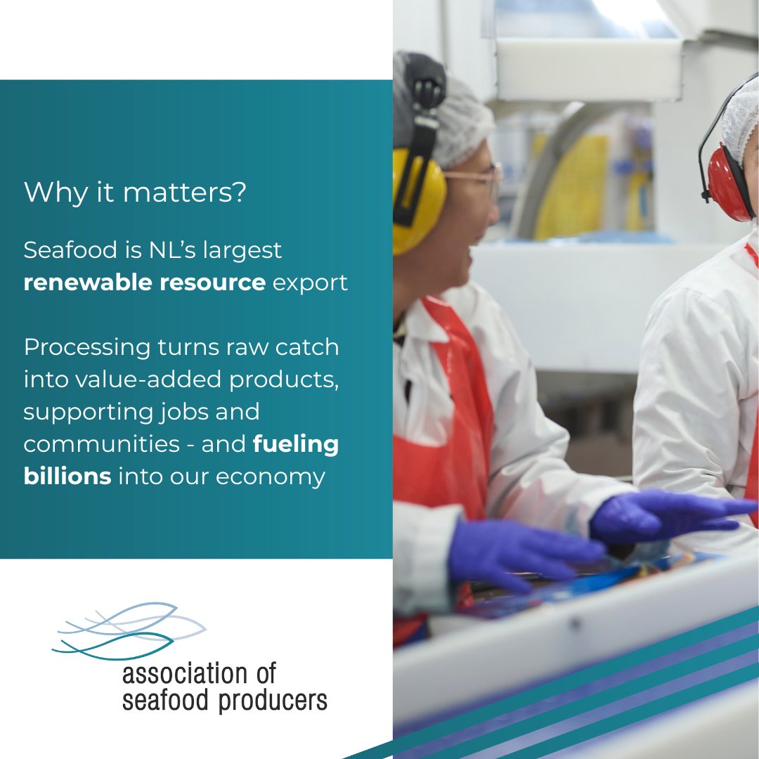 Since 2003, we've championed sustainability, innovation &amp; global promotion for NL's world-class seafood. With our members, we're shaping a resilient, future-focused sector—supporting good jobs, strong communities &amp; sustainable fisheries for generations.