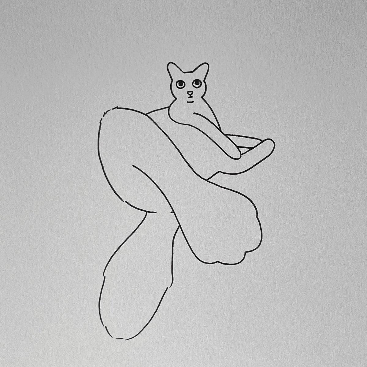 poorlycatdraw's tweet photo. sitting and judging https://t.co/jpnms24oyF