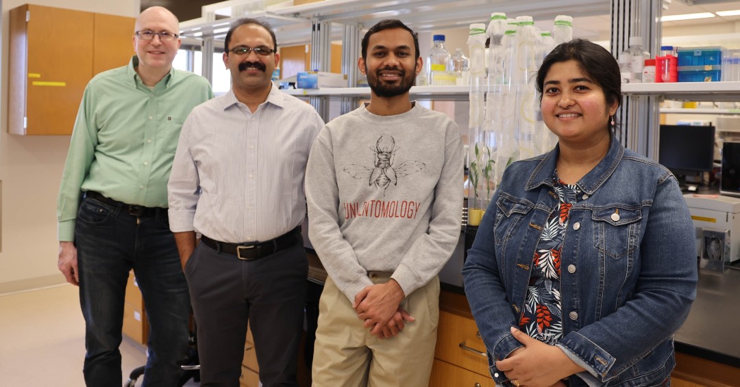 Nebraska Research (@unlresearch) on Twitter photo <a href="/UNLincoln/">University of Nebraska-Lincoln</a> scientists continue to advance the understanding of sorghum’s natural defenses, new findings that can strengthen crop resistance to a major pest threat, the fall armyworm. <a href="/UNLEntomology/">Nebraska Entomology</a>
go.unl.edu/qk9n <a href="/UNLincoln/">University of Nebraska-Lincoln</a> scientists continue to advance the understanding of sorghum’s natural defenses, new findings that can strengthen crop resistance to a major pest threat, the fall armyworm. <a href="/UNLEntomology/">Nebraska Entomology</a>
go.unl.edu/qk9n