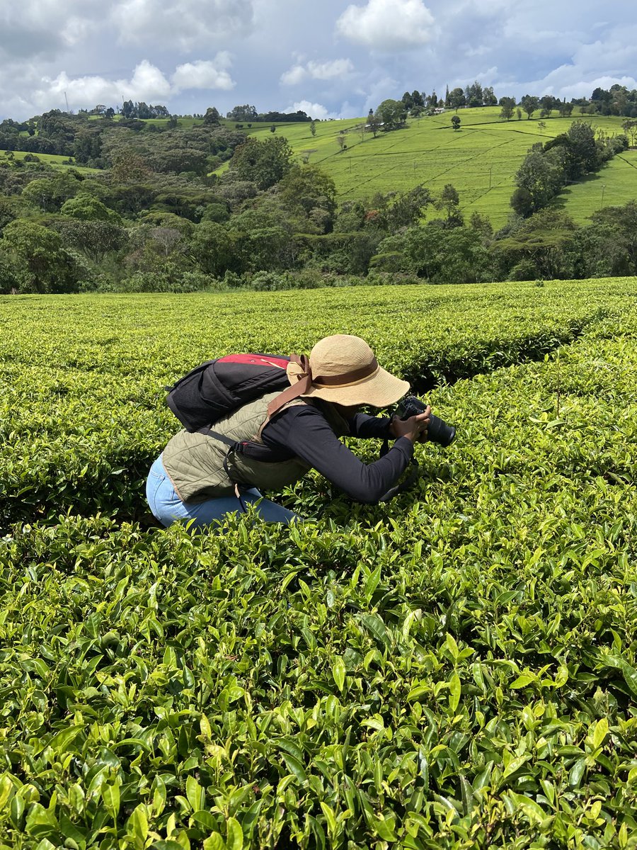 Clear enough to spot my bestie <a href="/Pierra_Nyaruai/">Nyaruai</a> akiwatafutia Beautiful shots of Nandi 😋
<a href="/MamaMbogaKe/">Mama Mboga Africa🥦</a> 
#YoungFarmersAssociation