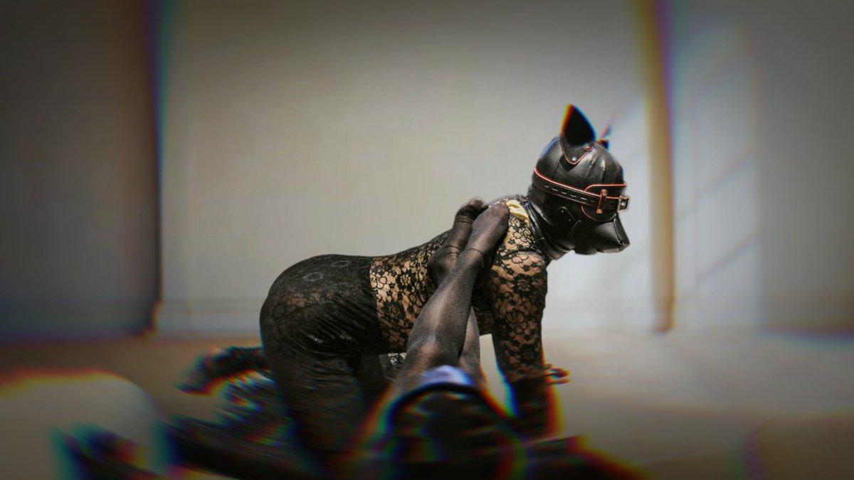 就算要出卖灵魂，也要找一个付得起价格的人。

狗狗头套 (puphood) from: catwhips
#情绪 #SM #调教 #狗奴