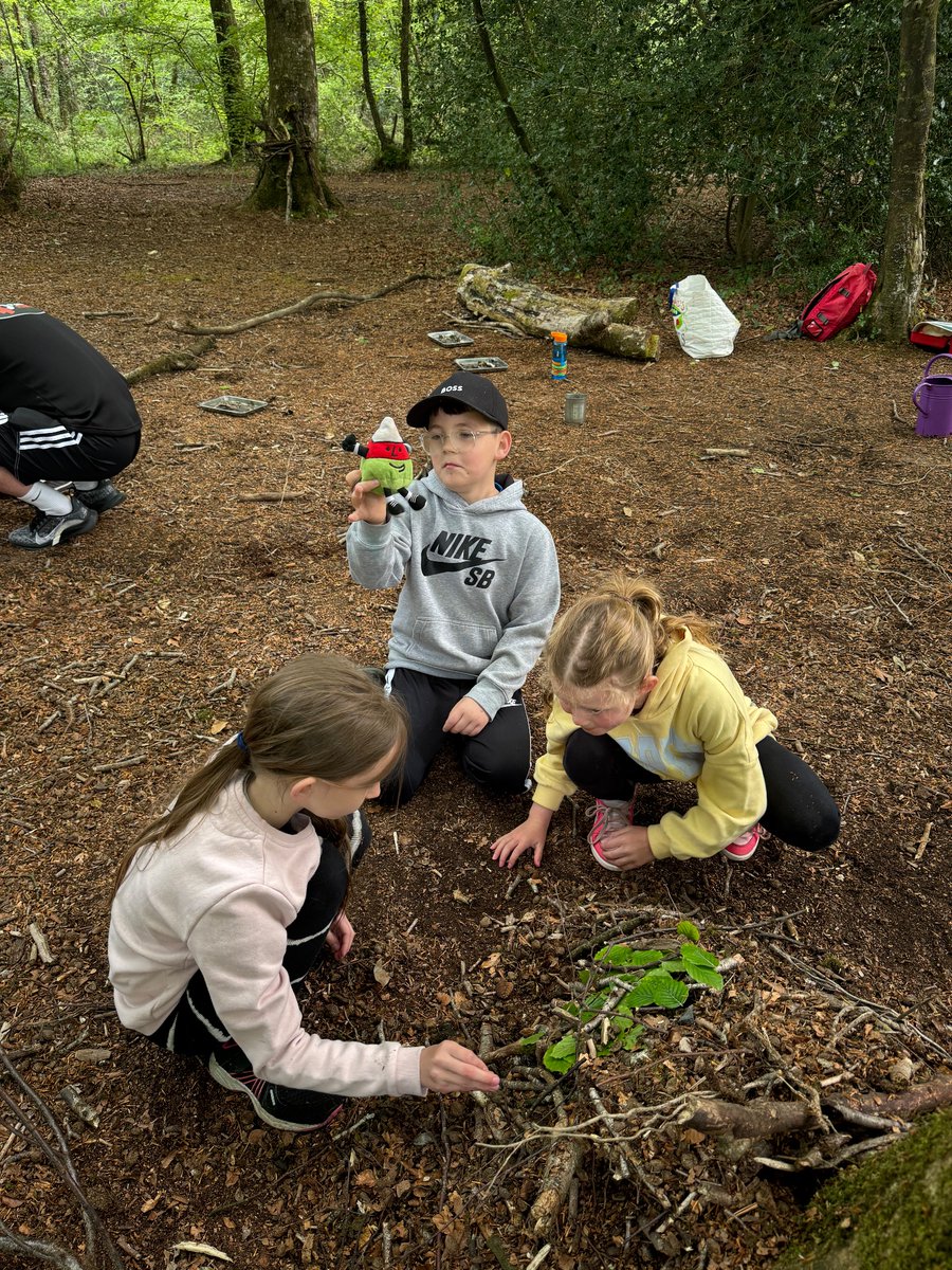 Year 3/4 tweet media