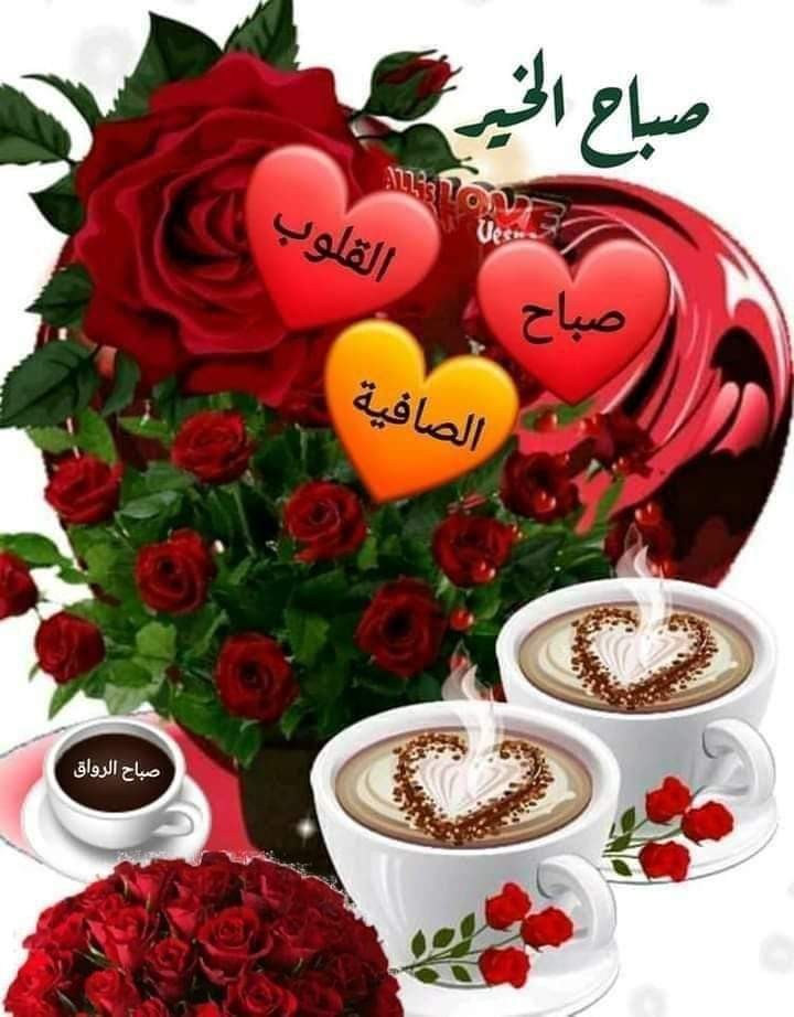 صباح الخير والسعادة والعافية والسرور وعطر الزهور تفوح بعطرك الجميل والرائع