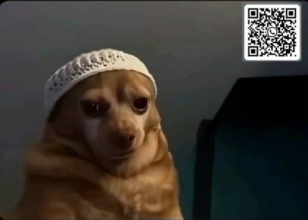 Virony pad na #2500 ke.

this ankara no kuku dey size me again🥲