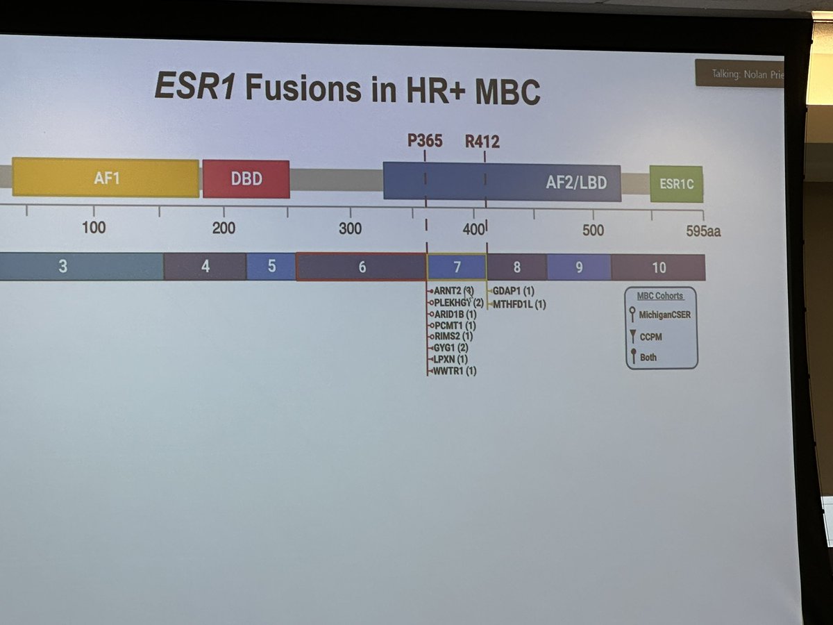 Sara Tolaney (@stolaney1) on Twitter photo A superstar translational scientist and clinician Nolan Priedigkeit presents his work on fusions in breast cancer
Very innovative work and relevant as we are starting to pick up ESR1 fusions and need to figure out how to approach this
<a href="/DFCI_BreastOnc/">Dana-Farber’s Breast Oncology Center</a> A superstar translational scientist and clinician Nolan Priedigkeit presents his work on fusions in breast cancer
Very innovative work and relevant as we are starting to pick up ESR1 fusions and need to figure out how to approach this
<a href="/DFCI_BreastOnc/">Dana-Farber’s Breast Oncology Center</a>