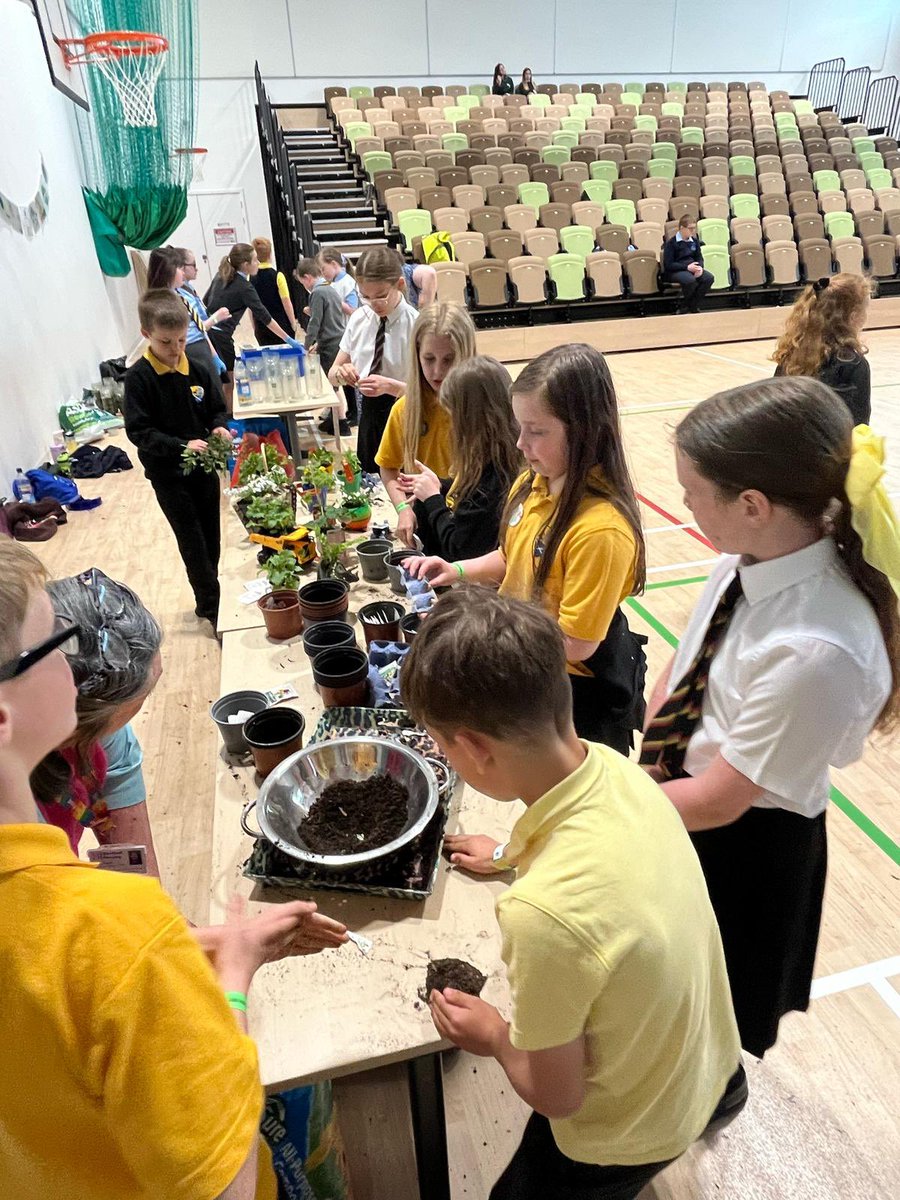 St Thomas' Primary tweet media