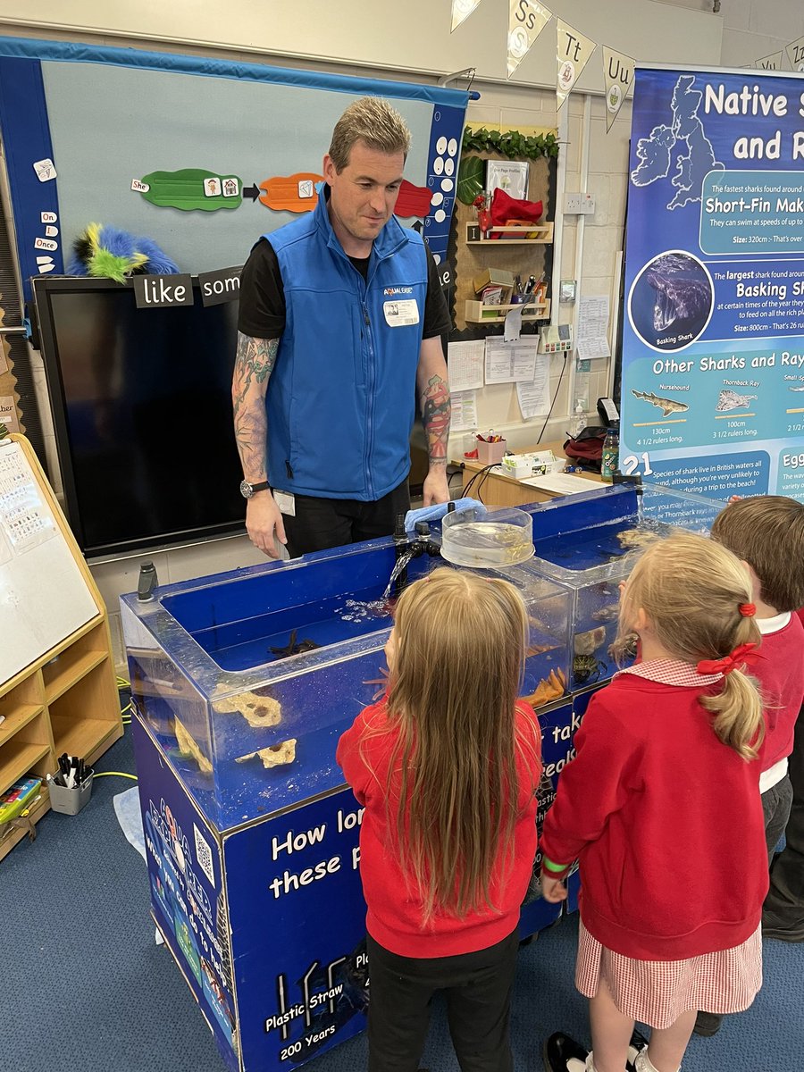 Rockpool visit to Reception!