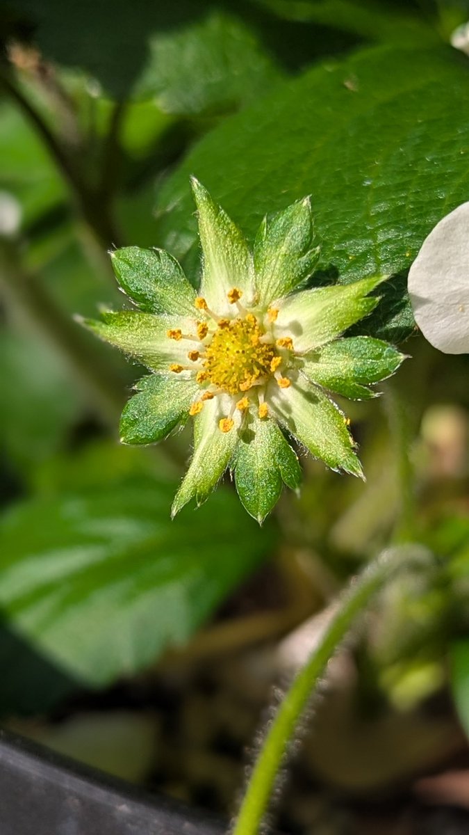 Be the magic this world truly needs &amp; shine BRIGHT for the haters