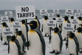 Martyupnorth®- Unacceptable Fact Checker tweet media