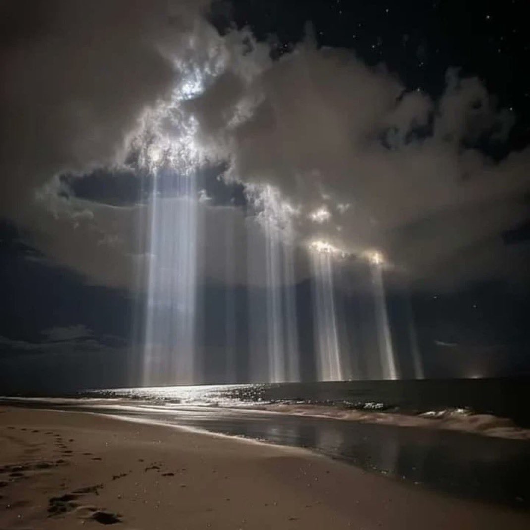 May Death and Dying continue to be accompanied by a culture of compassionate care. May our Health Professionals always be servants of life with dignity, never dispensers of death. A big YES to Palliative Care up to our natural end. timesofmalta.com/article/volunt…