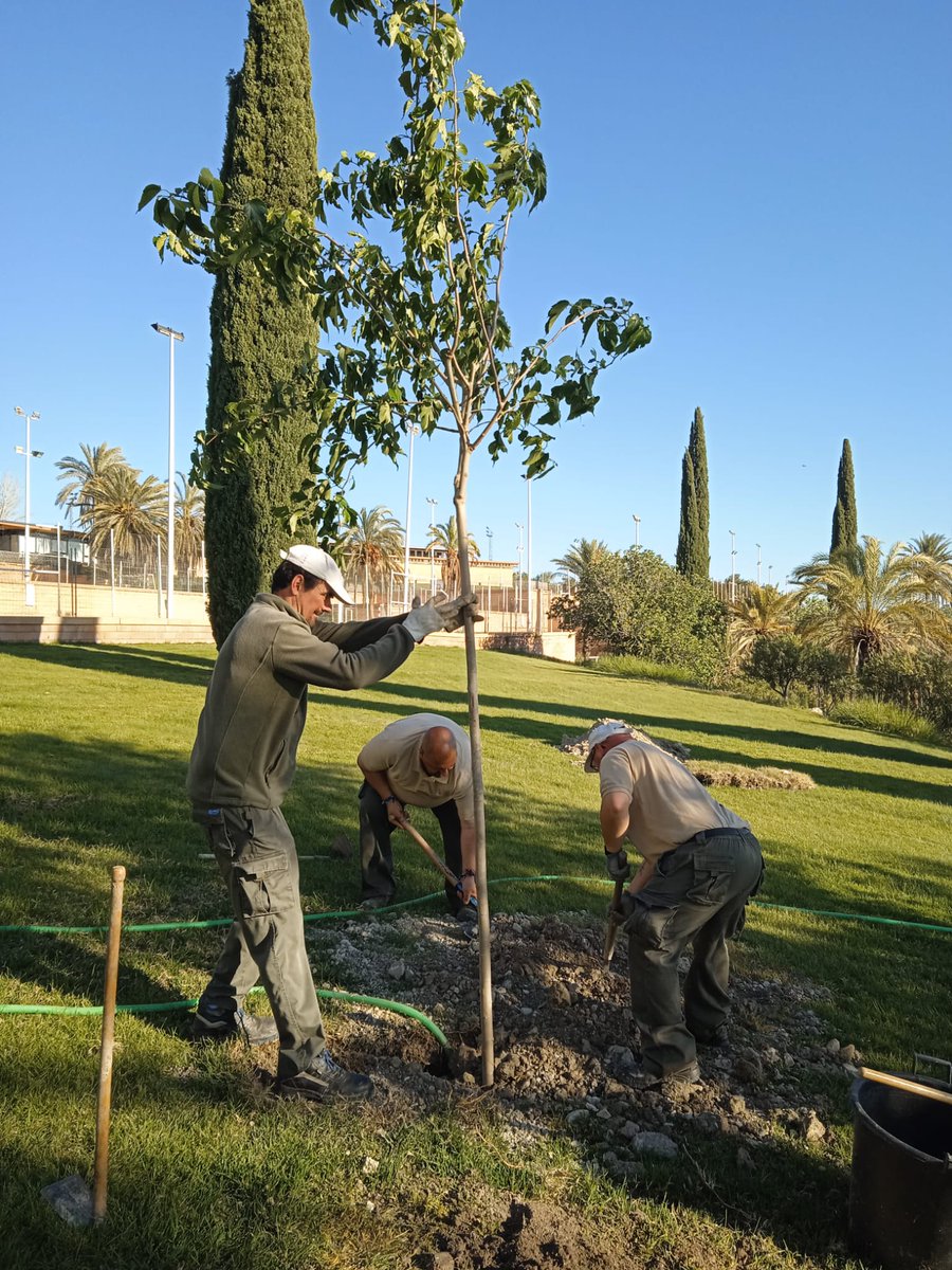Ed. Ambiental Jaén tweet media