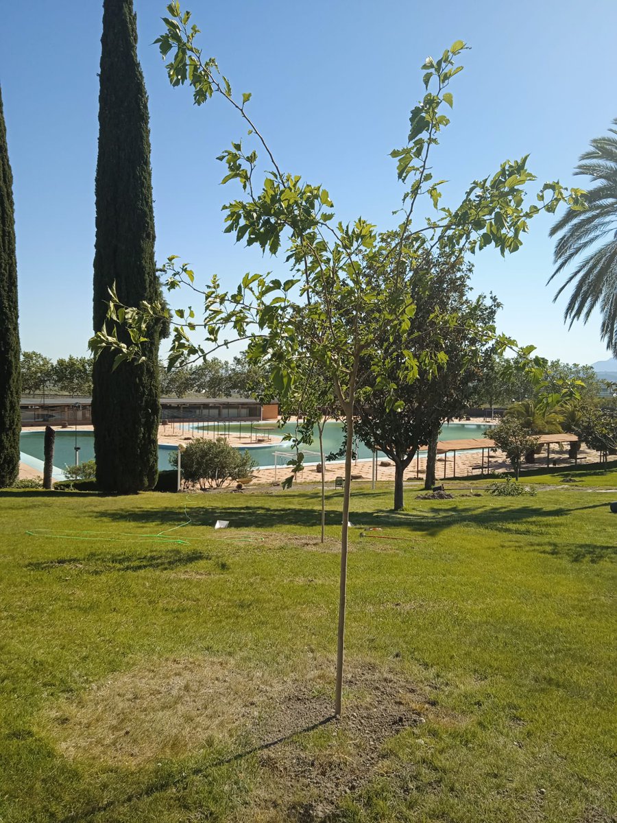 Ed. Ambiental Jaén tweet media