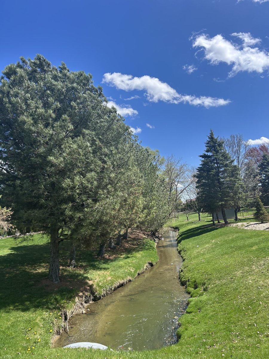 Watching a live stream