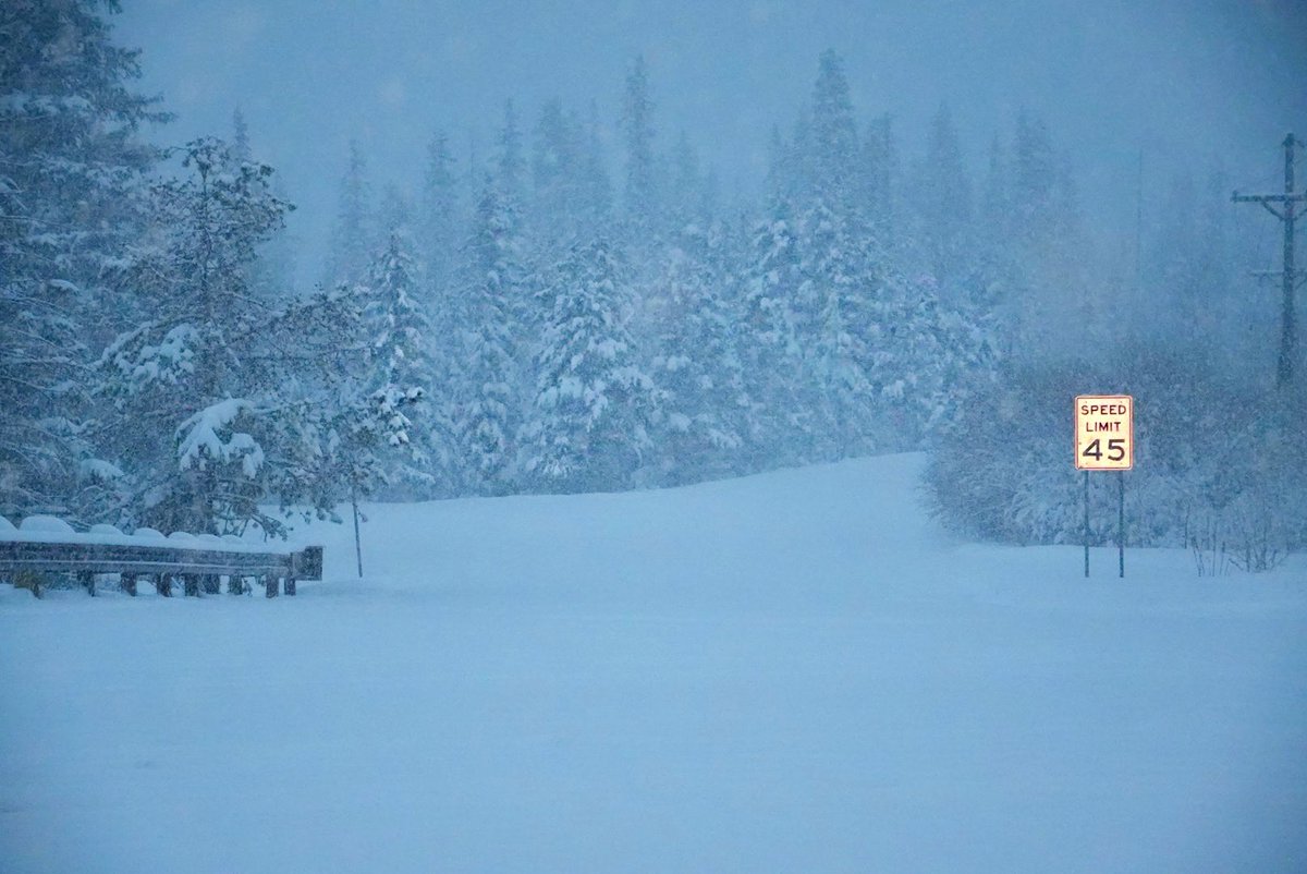 MattRenoux's tweet image. Snowway.
Silver Valley Road in Clear Creek County with a half a foot of May 7th snow on it. #9news #9wx