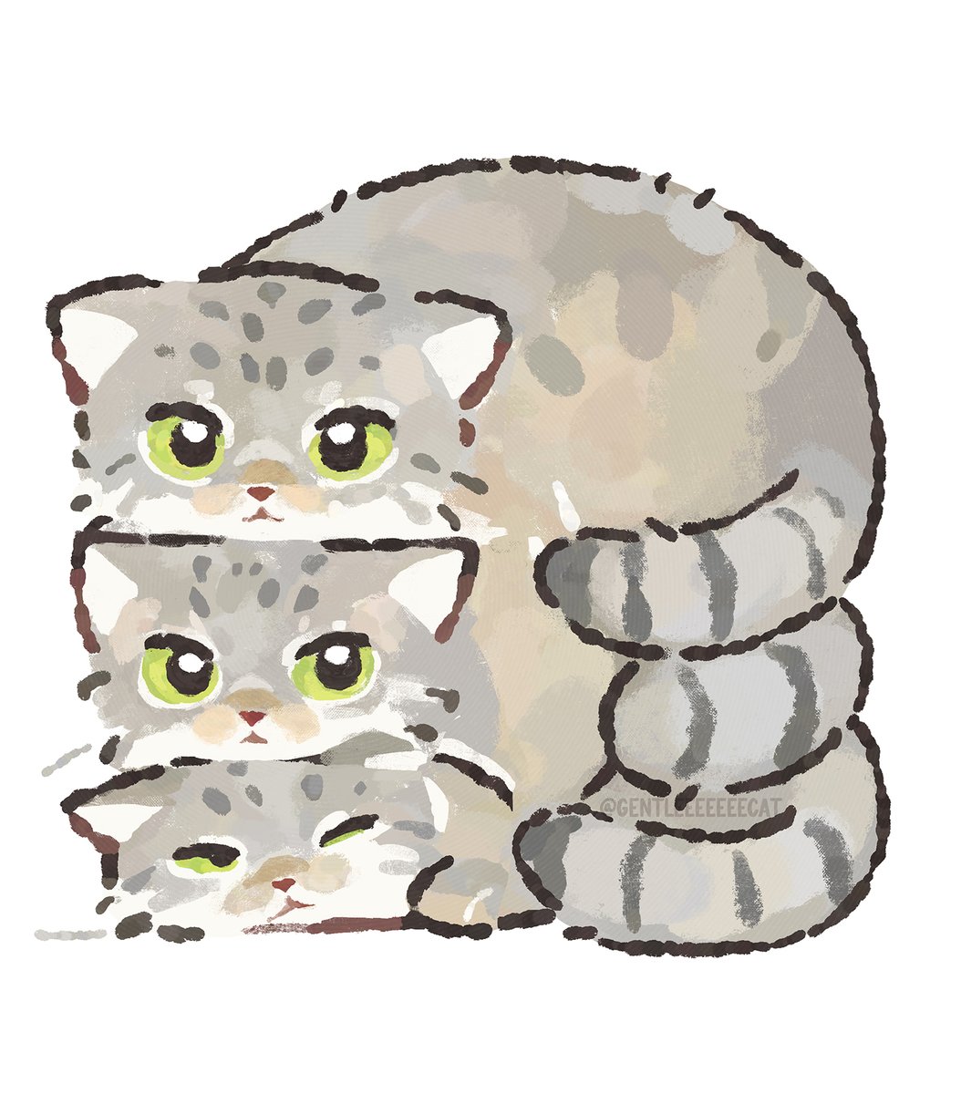 gentleeeeeeecat's tweet image. 