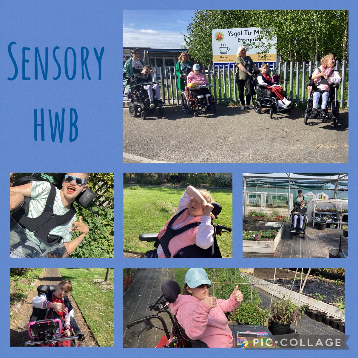 #ytmsensoryhwb #ytmhwellb our sensory hwb students enjoying a walk to bodnant gardens.
