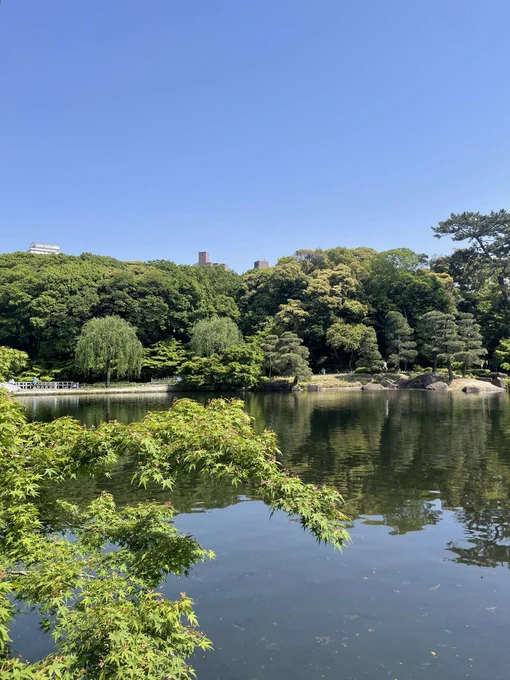 高低差のある場所が好きなんですが、徳川園の庭園は適度な高低差があってそれぞれから見える景色がとても綺麗でした。立派な滝まで見られて本当に良かった。入園料も300円なので近所に住んでたらよく散歩に来てただろうな。 すぐ近くにある三芳屋、わらび餅が有名な芳光もお勧めです