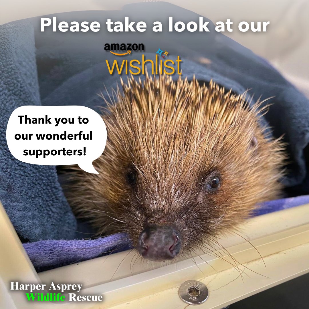 Can you help sick and injured wildlife at our hospital? Our patients would love a gift from our Amazon Wishlist. There are items on our list to suit all budgets, and we're so grateful for your support. Thank you. 🙏
Please follow this link... ow.ly/rHUk50PAMzb