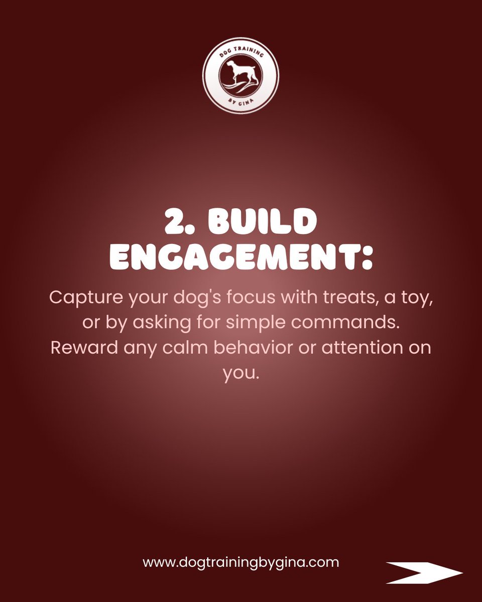 DogTrainingGina's tweet image. Is your dog reactive at home or on walks? You’re not alone, and there’s hope! 🐾 

#ReactiveDogs #CalmCanines #BuildingConfidence #PositiveReinforcement #DogTrainingTips #PeacefulPups #HappyDogsHappyHumans #FurryFriendsForever #dogtrainerabudhabi #abudhabidogtrainer