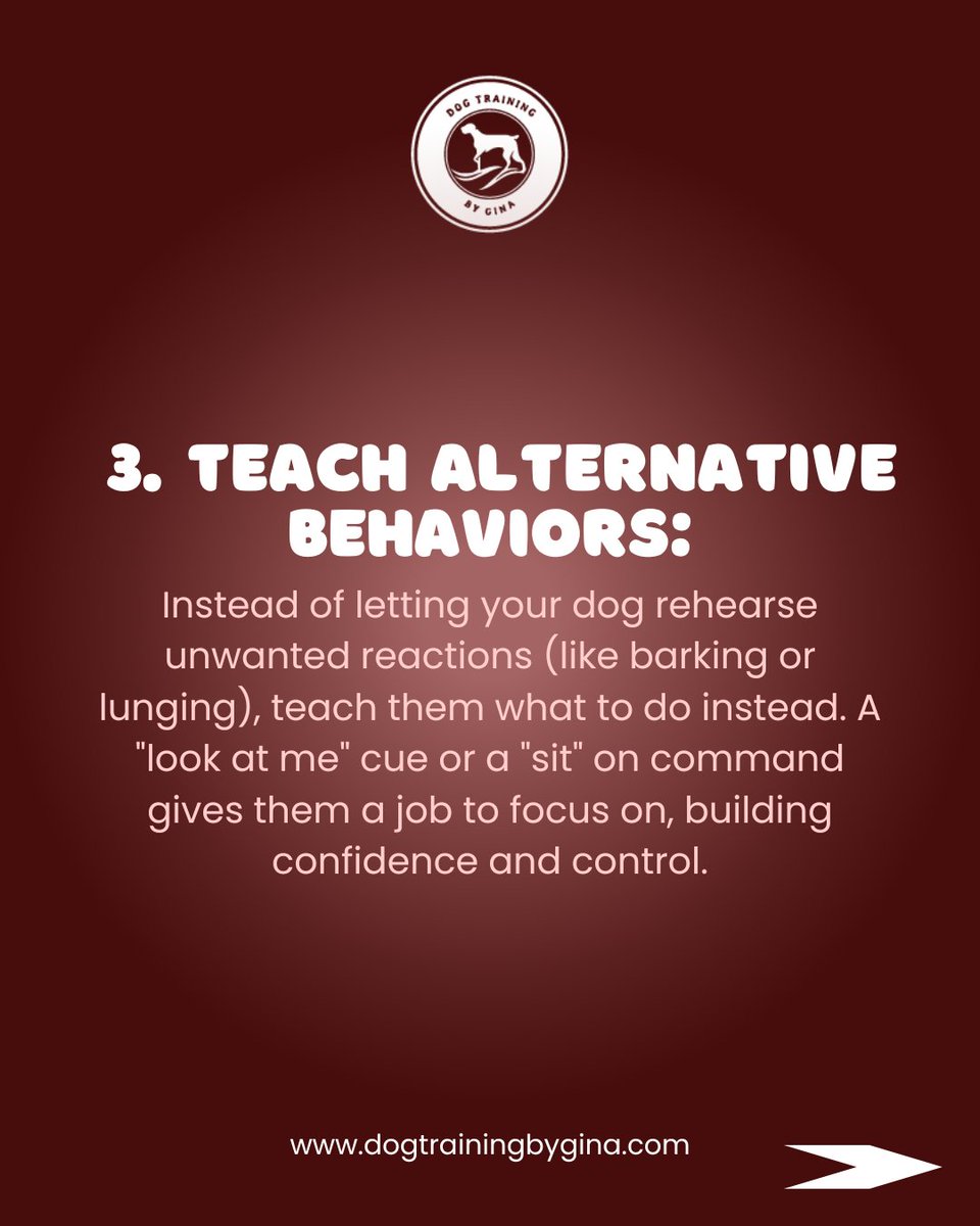 DogTrainingGina's tweet image. Is your dog reactive at home or on walks? You’re not alone, and there’s hope! 🐾 

#ReactiveDogs #CalmCanines #BuildingConfidence #PositiveReinforcement #DogTrainingTips #PeacefulPups #HappyDogsHappyHumans #FurryFriendsForever #dogtrainerabudhabi #abudhabidogtrainer