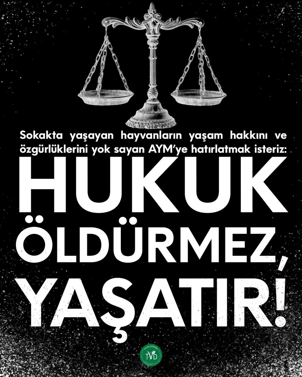 Sokakta yaşayan hayvanların yaşam hakkını ve özgürlüklerini yok sayan AYM’ye hatırlatmak isteriz: HUKUKÖLDÜRMEZ, YAŞATIR!