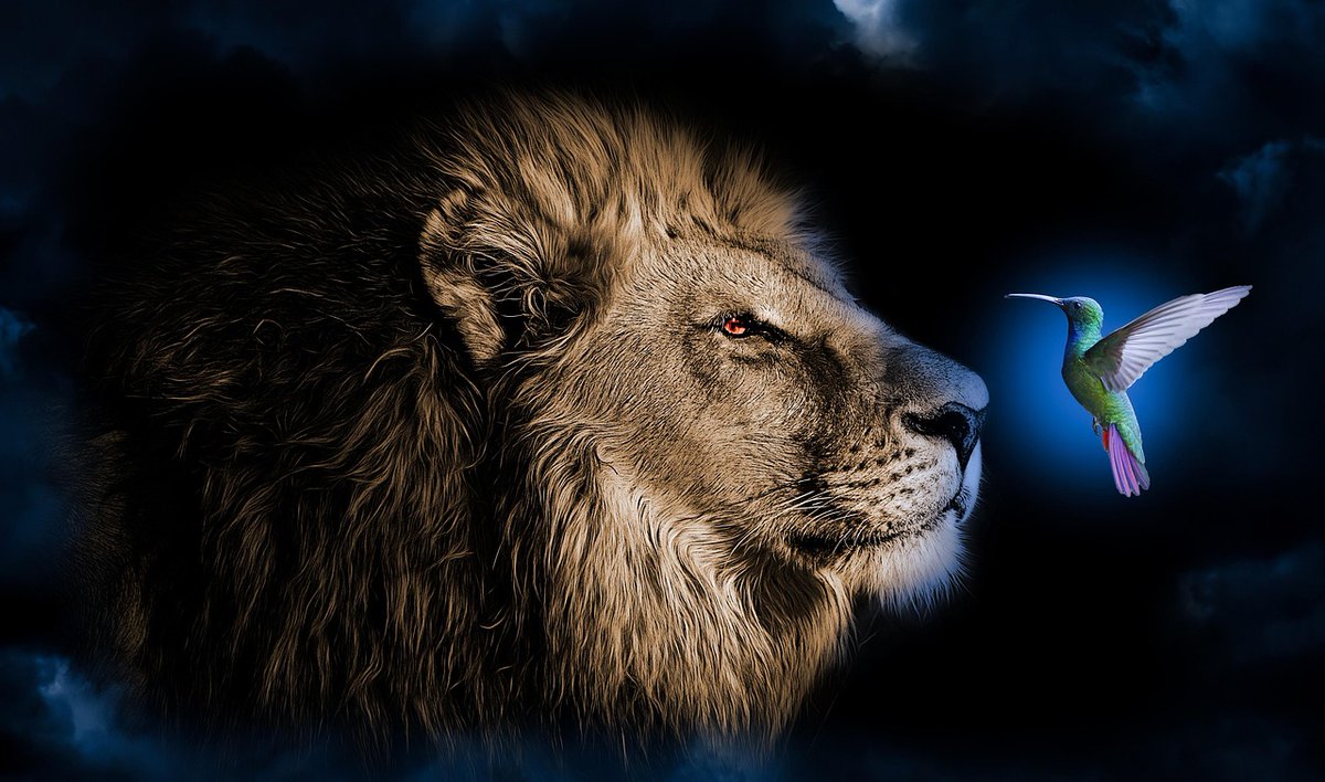 Deus é um curador para os feridos.
Um restaurador para os quebrantados. Um perdoador para os ofensores.
Um abrigo para os atribulados...
Confie nele e veja-o te levantar em nome de Jesus!