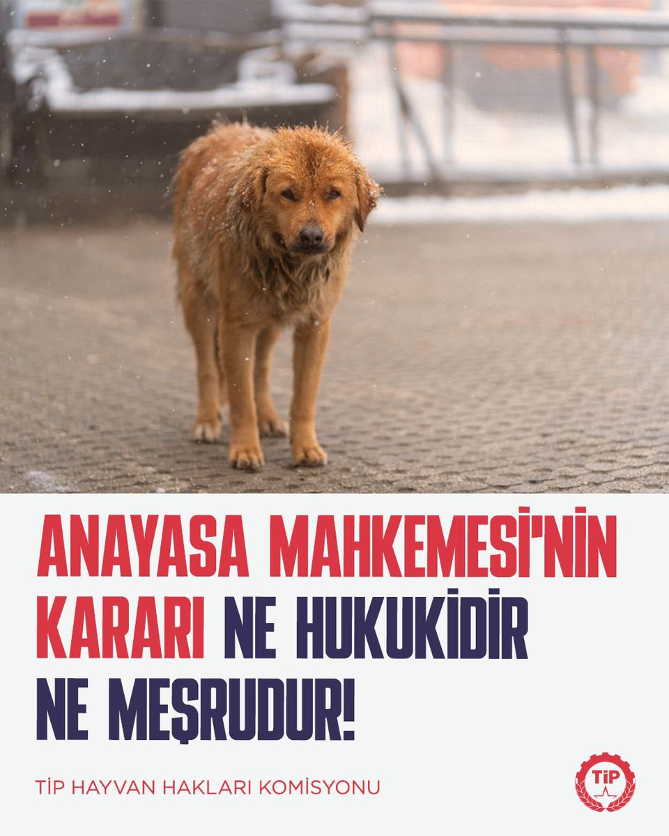 Anayasa Mahkemesi yaşamı değil, iktidarı ve şiddet politikalarını seçti.

Anayasa Mahkemesi, bugün verdiği kararla 7527 sayılı yasanın iptaline ilişkin başvurumuzu reddederek, yalnızca bir hukuki yanlışa değil; aynı zamanda tarihsel bir vicdansızlığa da ortak olmuştur.

Bu karar,