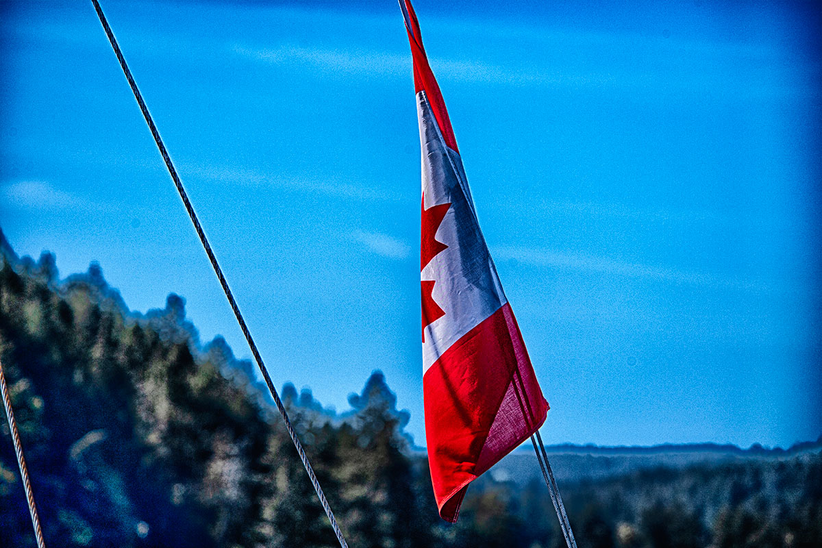 🇨🇦 True North Strong and Free 🇨🇦 #canada #elbowsup #madeincanada #buycanadian #flagaday