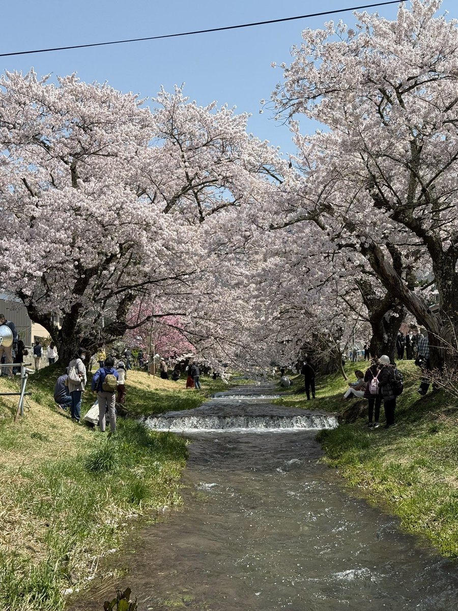 …タイトなスケジュールではありましたが、またの機会に皆さんと郡山の地でお会いできればと思います。

会場の周囲は終わってましたが、福島は桜の時期が長いので、またこの時期に開催できましたらどこかの桜と共にお待ちしております。^ ^🌸

皆さんお疲れ様でした。^0^