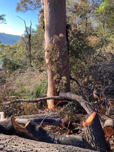 Thompson d. GMP 🌳 3-6, 6-3, 7-6( 5) 🙄