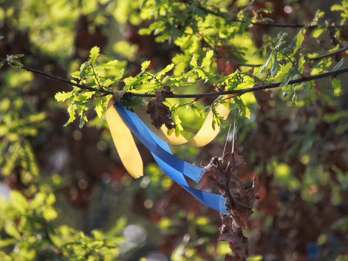 Achilles come down tweet media