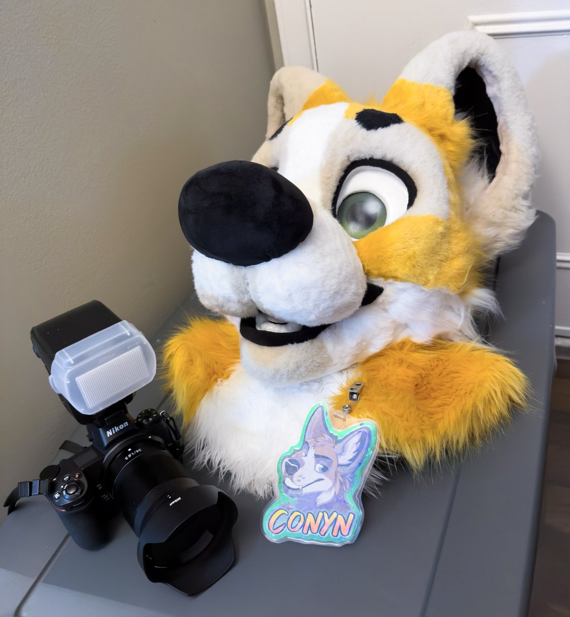 On the road to #FWA2025!