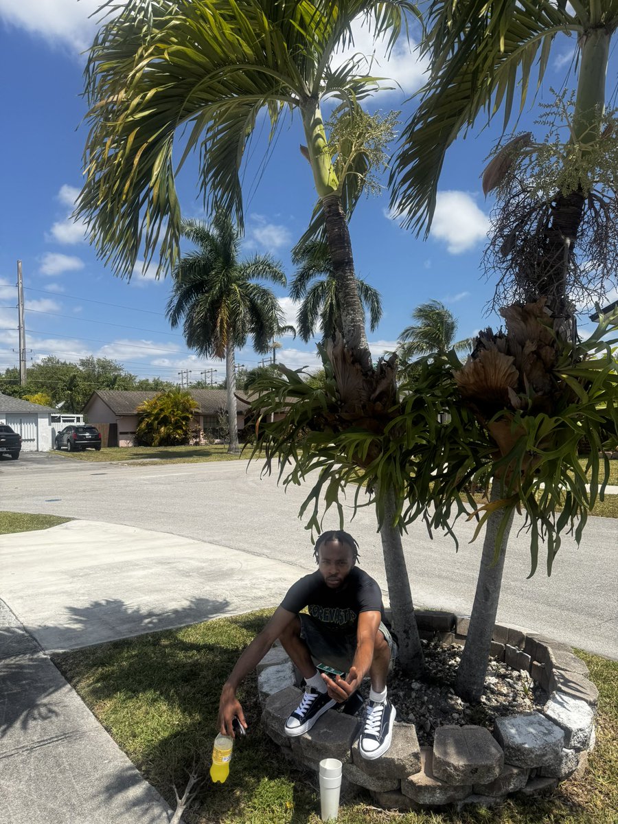 gbooka3's tweet image. #forevastr8🌴 #LLLO