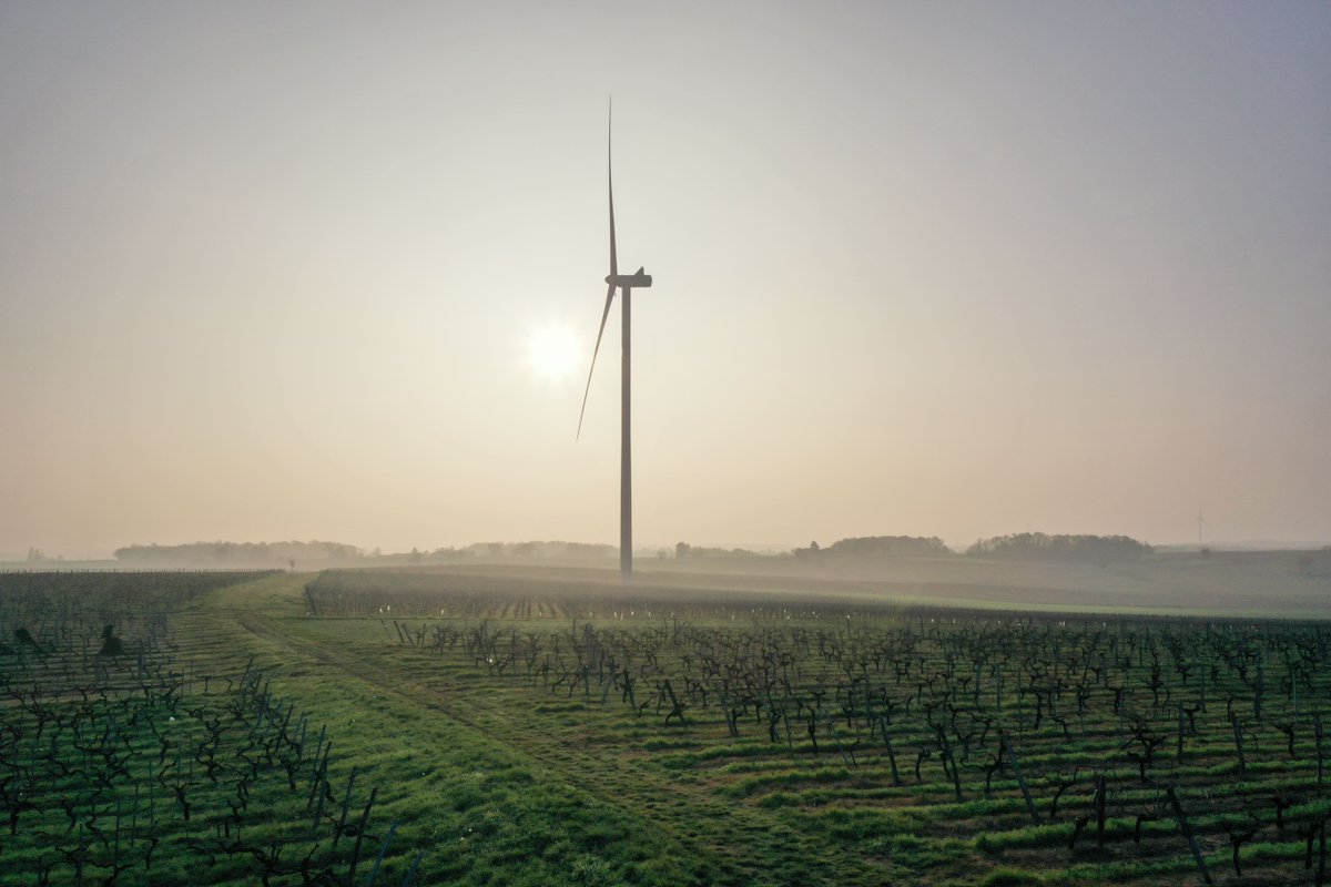 Un parc éolien au pied des vignes, c'est possible ?  🍇🌱

À Baignes en Charente, technologie et tradition cohabitent pour produire une énergie locale et durable ⚡

#EolienTerrestre #EnergiesRenouvelables #renouvelables