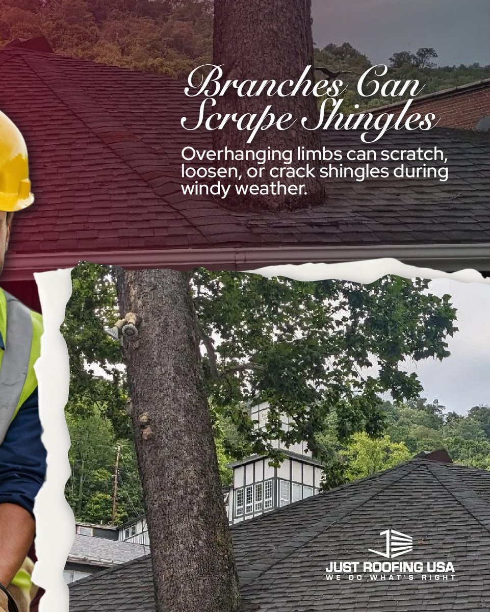 JustRoofingUSA's tweet image. 🌳 Those trees near your roof? They might be doing more harm than you think! 🏠

Overhanging branches, clogged gutters, and falling debris can all take a toll on your roof.

Book today: hubs.ly/Q03lkyy50 

#ResidentialRoofing #LuxuryRoofing #RoofingBlog #Ohio