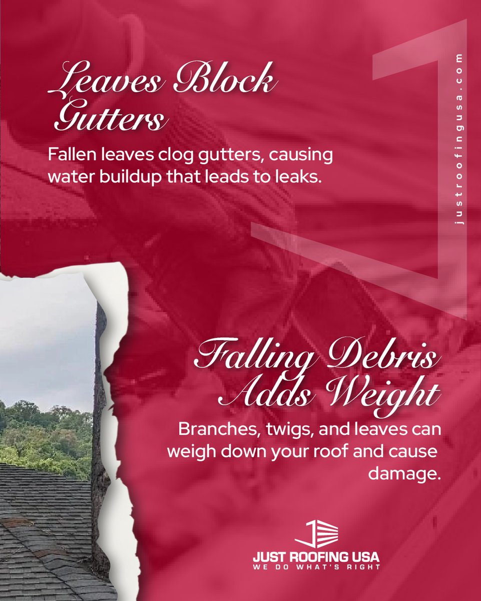JustRoofingUSA's tweet image. 🌳 Those trees near your roof? They might be doing more harm than you think! 🏠

Overhanging branches, clogged gutters, and falling debris can all take a toll on your roof.

Book today: hubs.ly/Q03lkyy50 

#ResidentialRoofing #LuxuryRoofing #RoofingBlog #Ohio